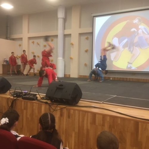Показательные выступления по Самбо