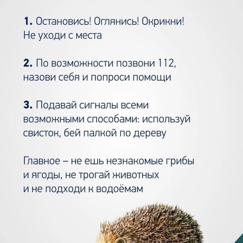 Памятка безопасных летних каникул