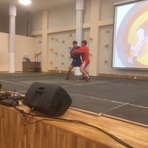 Показательные выступления по Самбо