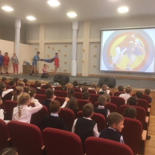 Показательные выступления по Самбо