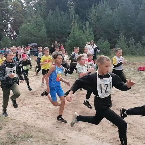 Кросс "Жизнь Отечеству, Честь никому!"