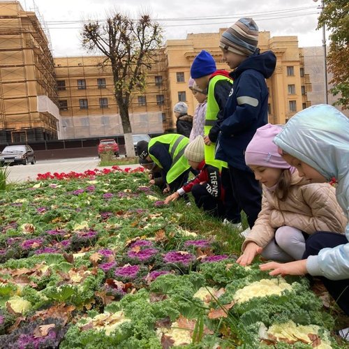 Осенние экскурсии
