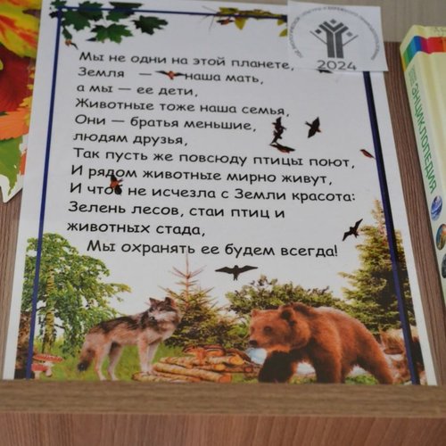 В мире экологии