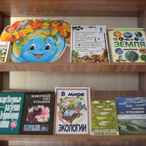 В мире экологии