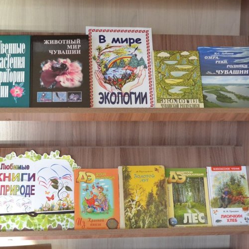 В мире экологии