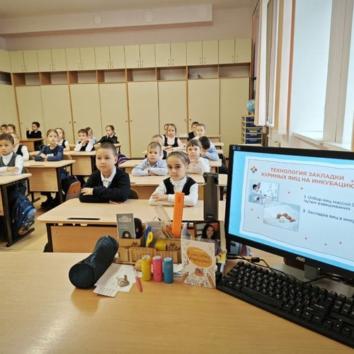 Смотрим новые выпуски от Шоу профессий 