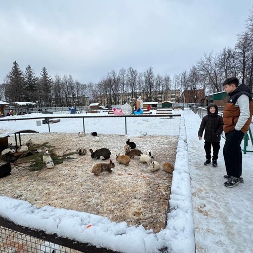 Экскурсия в зооуголок "Ковчег"