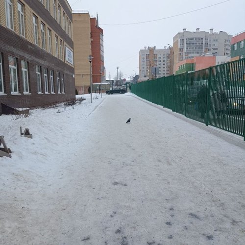 25.02.2025