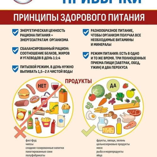 Здоровое питание