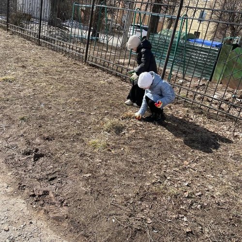 28.03.2025 - Уборка территории Ярославская 52