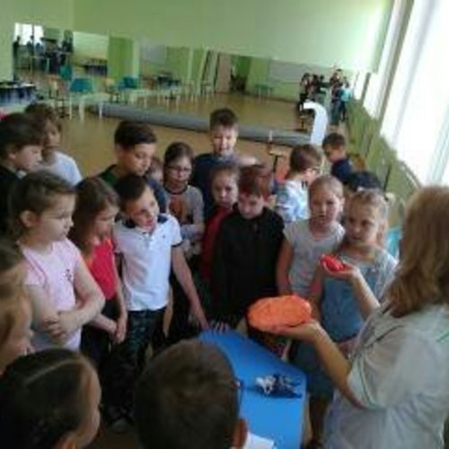 Пришкольный летний лагерь «Планета открытий» - 2019