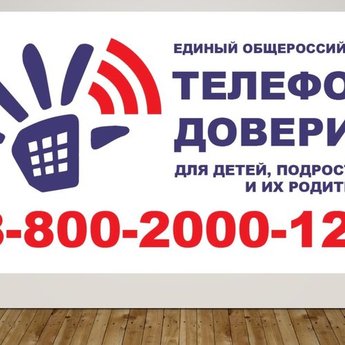 РОДИТЕЛЬСКАЯ БДИТЕЛЬНОСТЬ