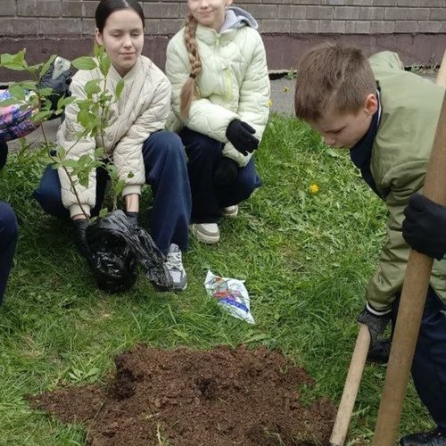 Акция "Аллея выпускников"