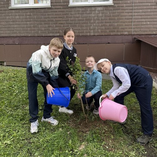 Акция "Аллея выпускников"