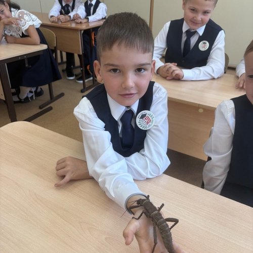 В День Знаний изучаем мир насекомых