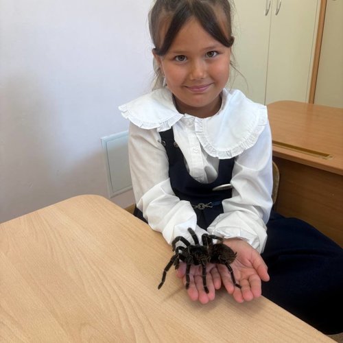 В День Знаний изучаем мир насекомых