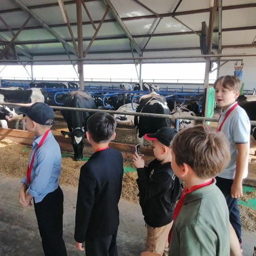 Экскурсии продолжаются!