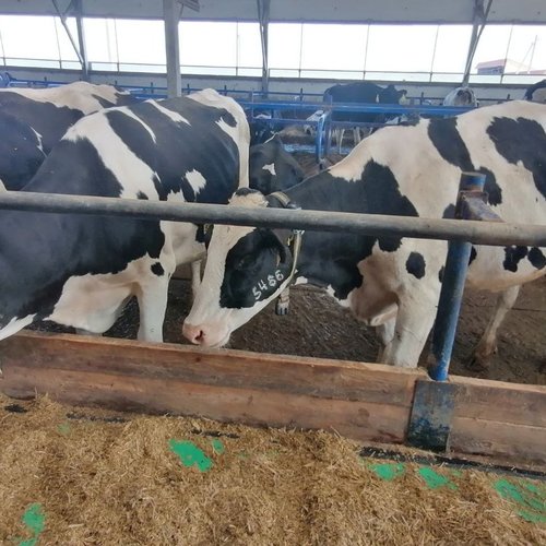 Экскурсии продолжаются!