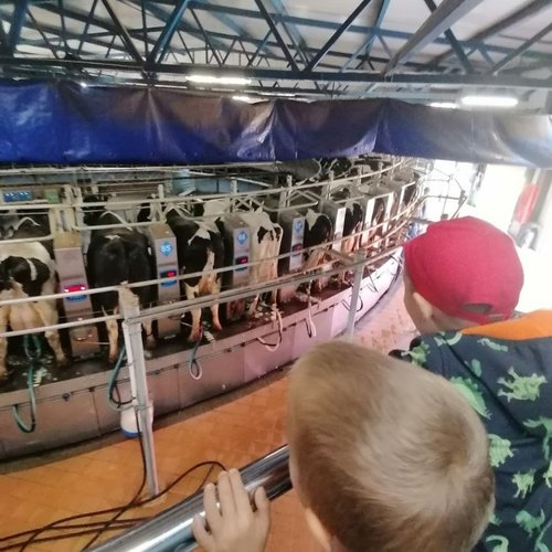 Экскурсии продолжаются!