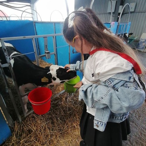 Экскурсии продолжаются!