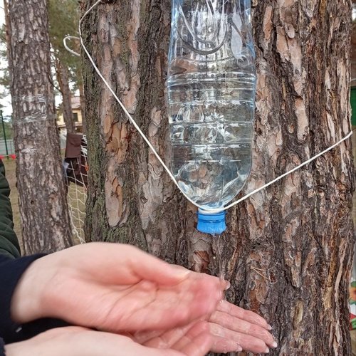 Педагоги СОШ 1 на XVII туристском слете работников образования