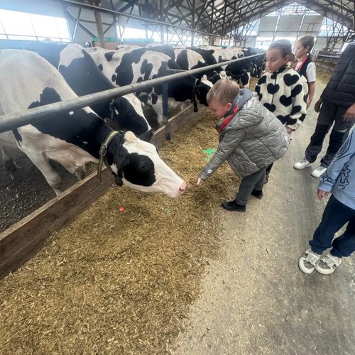 Путешествие в агропарк ЧЕБОМИЛК