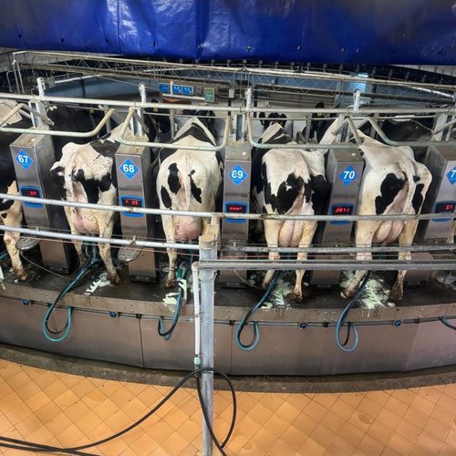 Путешествие в агропарк ЧЕБОМИЛК