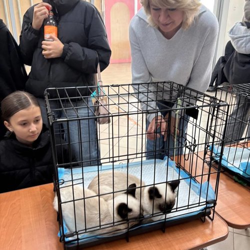 Неделя добра в СОШ 1