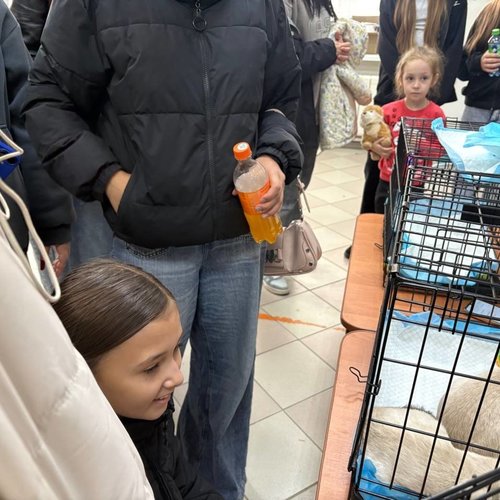 Неделя добра в СОШ 1
