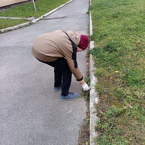 Уборка территории школы продолжается Уборка территории школы продолжается