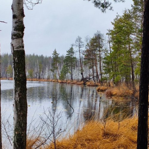 Осенний Марш Бросок Заволжья