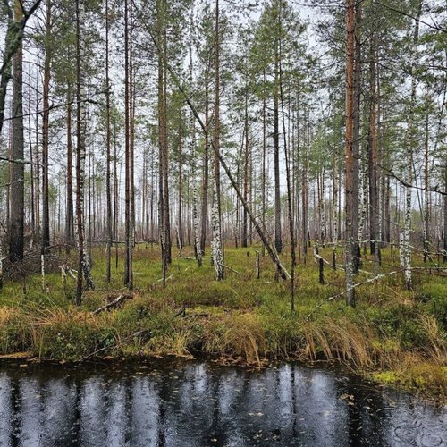 Осенний Марш Бросок Заволжья