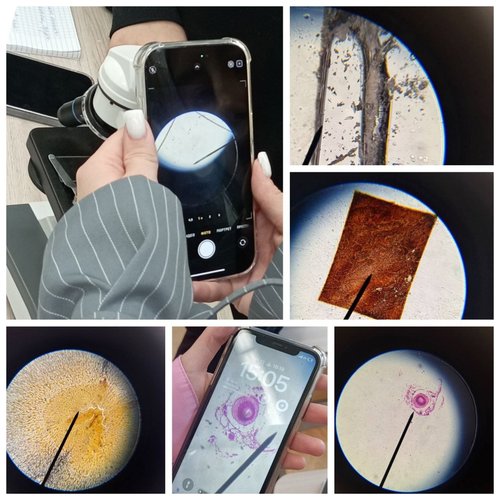 Методическая неделя «Повышение качества математического и естественнонаучного образования: современные подходы».