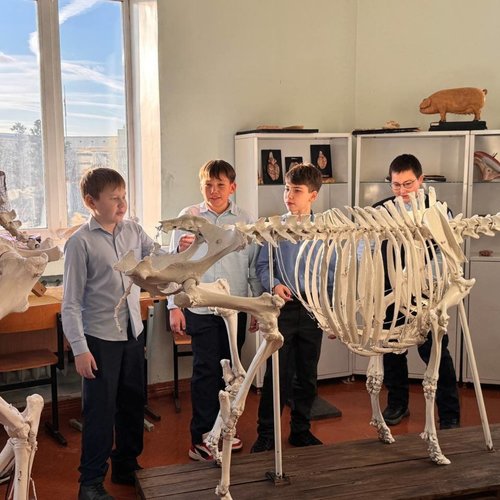 6Д на экскурсии в ветеринарной клинике "Усы. Лапы. Хвост"