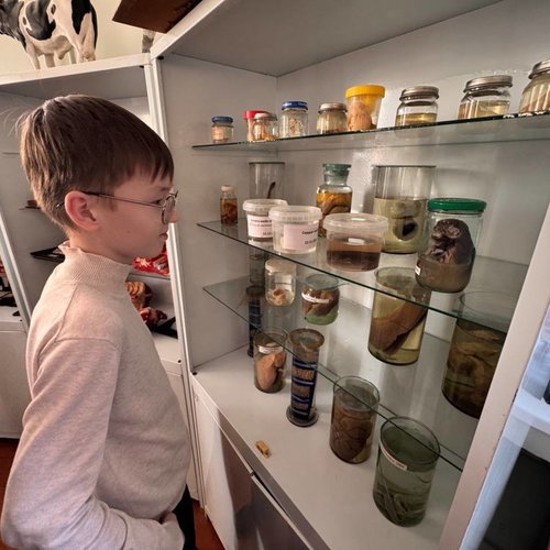 6Д на экскурсии в ветеринарной клинике "Усы. Лапы. Хвост"