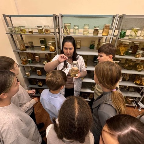 6Д на экскурсии в ветеринарной клинике "Усы. Лапы. Хвост"