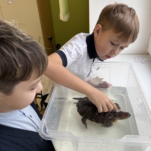 Необычный урок окружающего мира