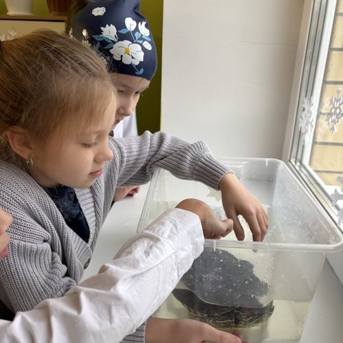 Необычный урок окружающего мира