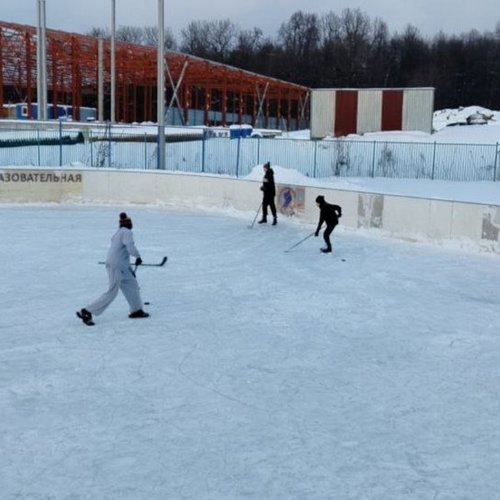 Все на каток!
