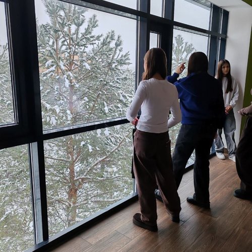 Новогодняя Казань. Путешествие 7Д и 7Е классов.