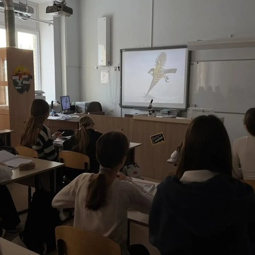 15 ЯНВАРЯ - ДЕНЬ ЗИМУЮЩИХ ПТИЦ  