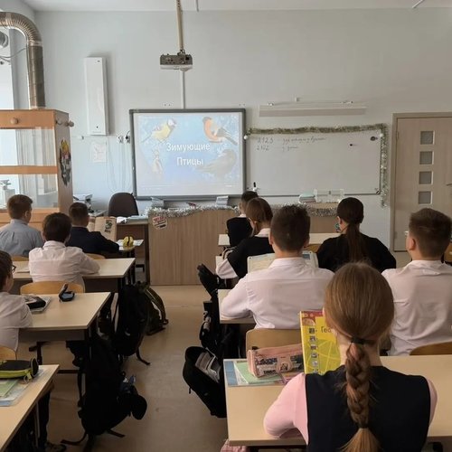 15 ЯНВАРЯ - ДЕНЬ ЗИМУЮЩИХ ПТИЦ  