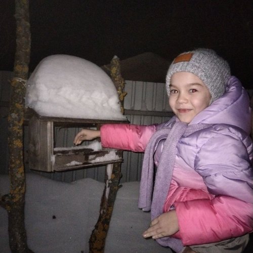 15 ЯНВАРЯ - ДЕНЬ ЗИМУЮЩИХ ПТИЦ  