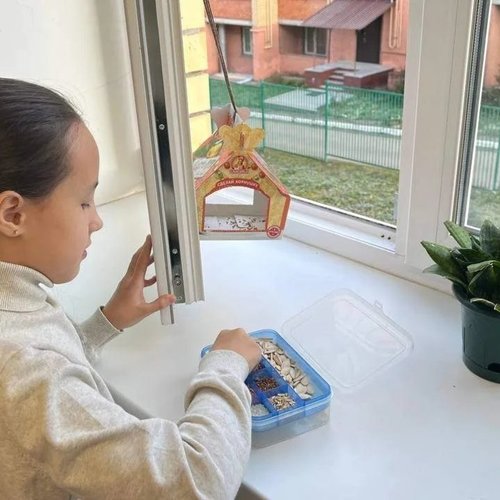 15 ЯНВАРЯ - ДЕНЬ ЗИМУЮЩИХ ПТИЦ  