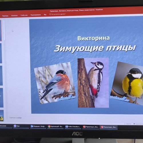 15 ЯНВАРЯ - ДЕНЬ ЗИМУЮЩИХ ПТИЦ  