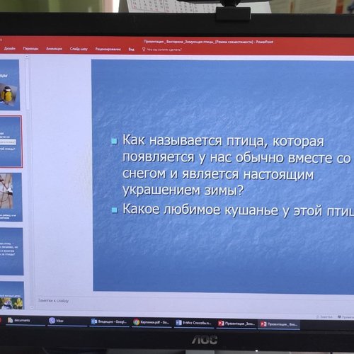 15 ЯНВАРЯ - ДЕНЬ ЗИМУЮЩИХ ПТИЦ  