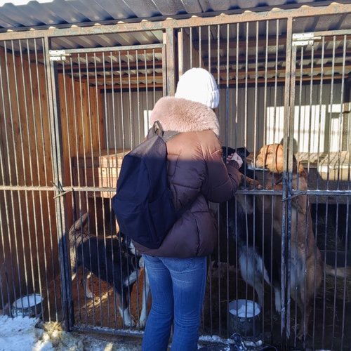 БОЛЬШАЯ ПОМОЩЬ МАЛЕНЬКОМУ ДРУГУ