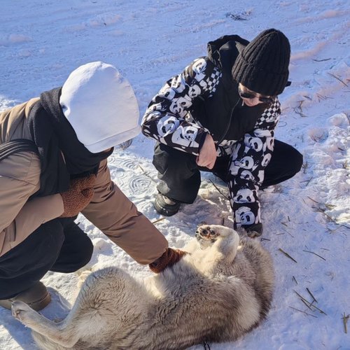 БОЛЬШАЯ ПОМОЩЬ МАЛЕНЬКОМУ ДРУГУ