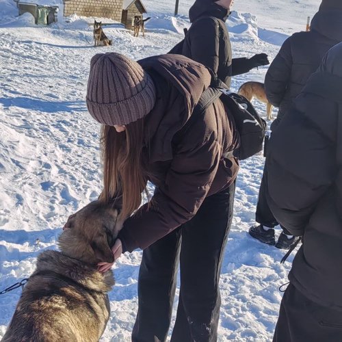 БОЛЬШАЯ ПОМОЩЬ МАЛЕНЬКОМУ ДРУГУ