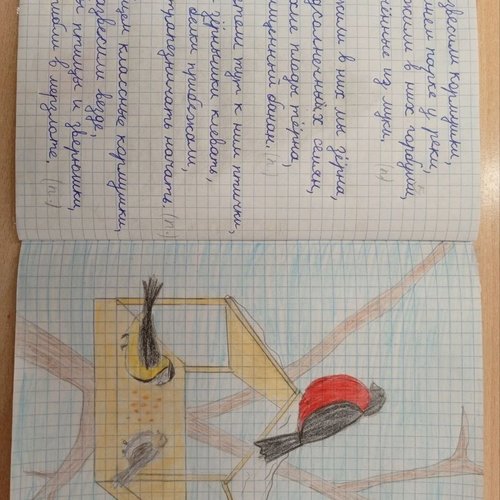 Зимующим птицам посвящается...